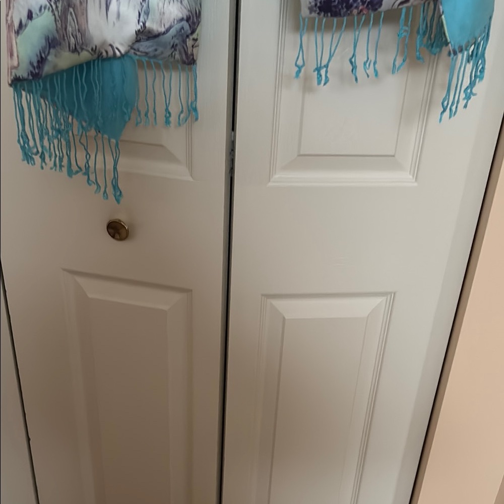 Chic Blue and White Fringed Scarf